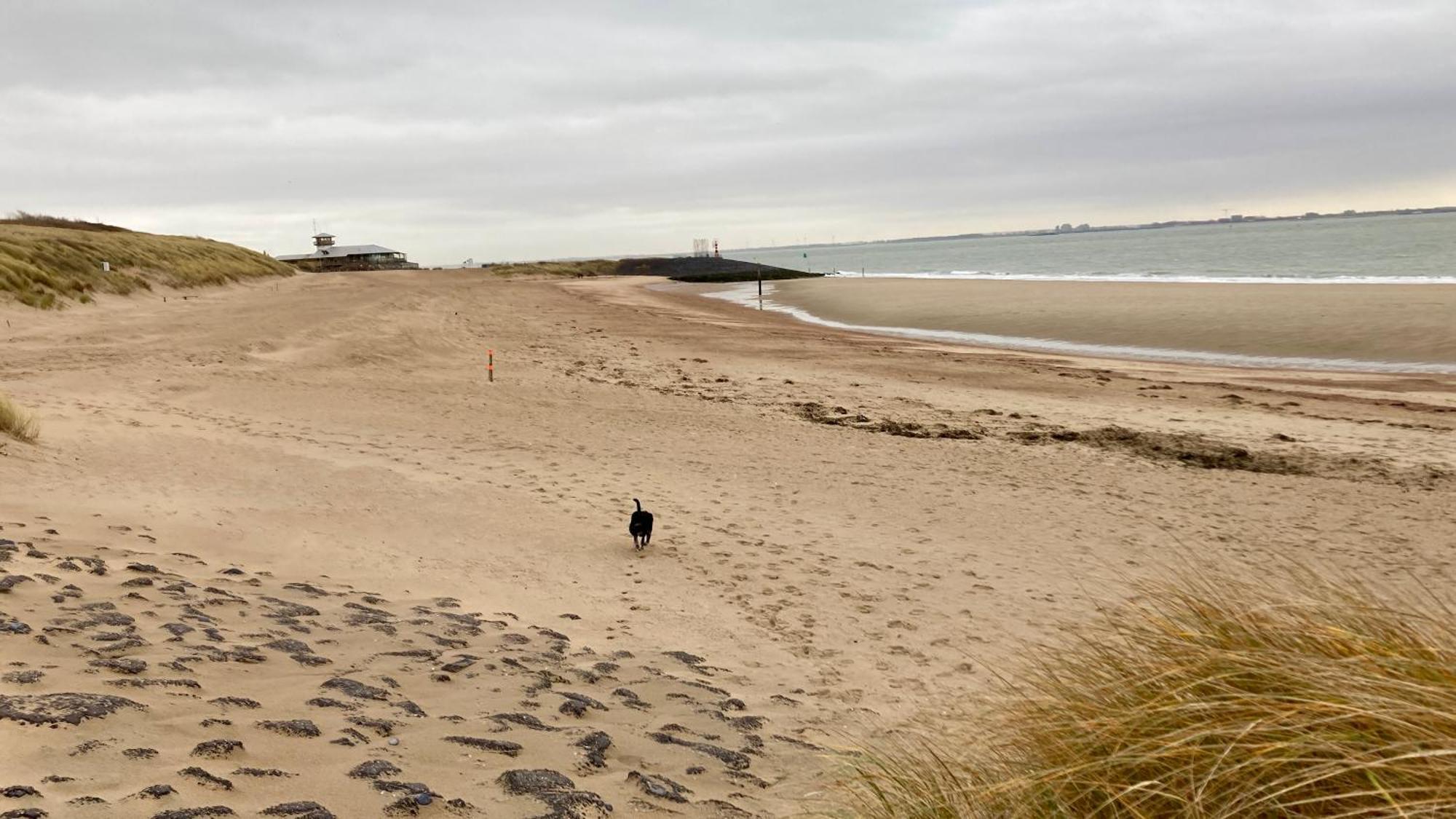 Costa Linda B&B Vlissingen Luaran gambar