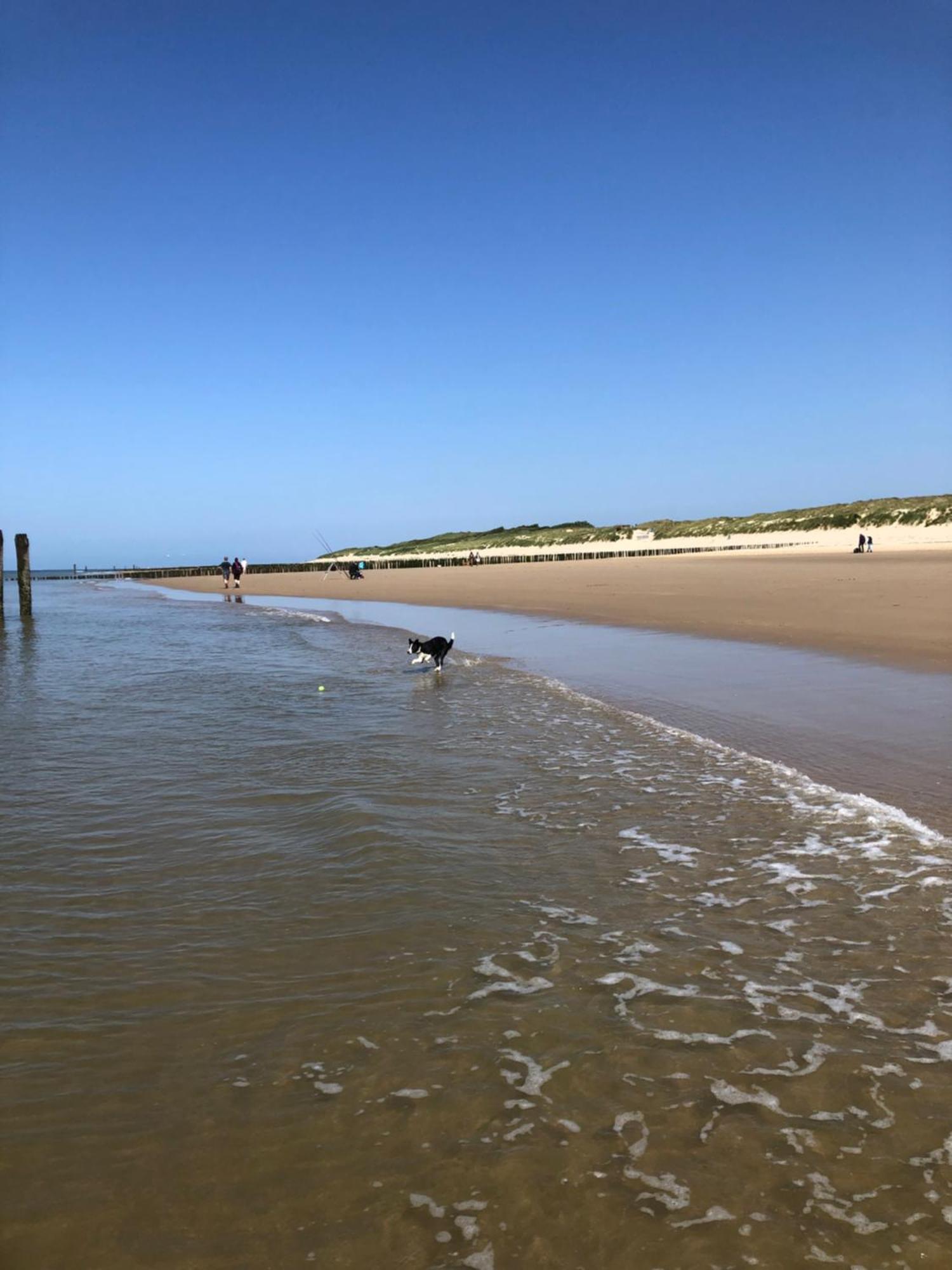 Costa Linda B&B Vlissingen Luaran gambar